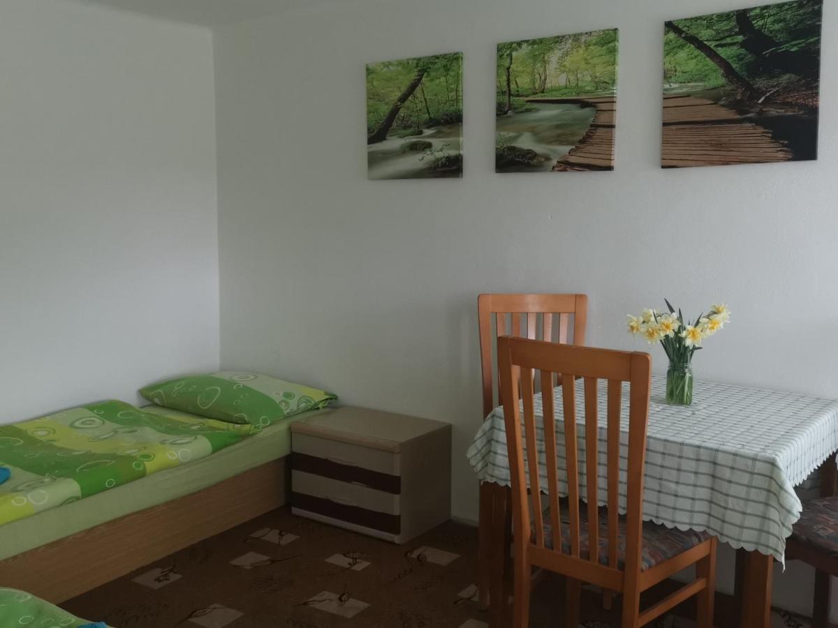 Penzion Tomy Pihlov Horní Planá Kültér fotó